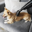 Cecotec Conga Immortal ExtremeSuction 22,2 Animal Hand