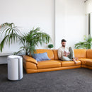 Cecotec Déshumidificateur BigDry 9000 Professional Connected