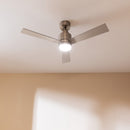Cecotec Ventilateur de plafond EnergySilence Aero 4850 Style Steel