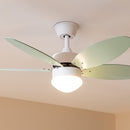 Cecotec Ventilateur de plafond EnergySilence Aero 4260 Mint