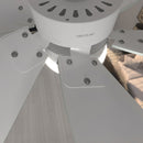 Cecotec Ventilateur de plafond EnergySilence 3600 Vision Mint
