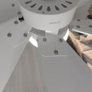 Cecotec Ventilateur de plafond EnergySilence 3600 Vision Sky