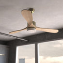 Cecotec Ventilateur de plafond EnergySilence Aero 5290 Golden Pro