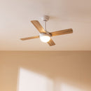 Cecotec Ventilateur de plafond EnergySilence Aero 4250 DC Fresh