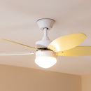 Cecotec Ventilateur de plafond EnergySilence Aero 4260 SunLight