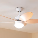 Cecotec Ventilateur de plafond EnergySilence Aero 4260 Orange