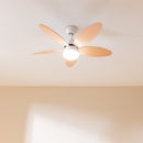 Cecotec Ventilateur de plafond EnergySilence Aero 4260 Orange