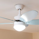 Cecotec Ventilateur de plafond EnergySilence Aero 4260 Sky