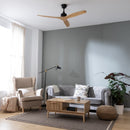 Cecotec EnergySilence Aero 5270 Black&LightWood