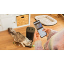 Cecotec Distributeur de croquettes Pumba 6000 Purrfect Meal Smart Vision
