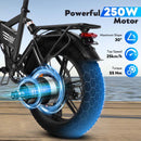 HiQiS E20 – Vélo électrique fat bike 20 pouces