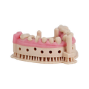 Liqcreate Dental Model Pro Beige