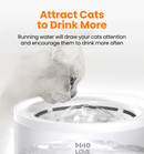 HHOLOVE Fontaine à eau pour chat
