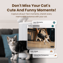 HHOLOVE Distributeur croquettes auto O Sitter