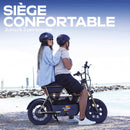 UrbanGlide Thunder 160 – Trottinette électrique fatbike