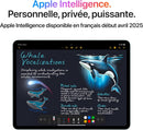 Apple 13-inch iPad Air M3 Wi-Fi + Cellular