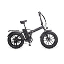 YOUIN Texas Vélo Electrique Pliant