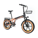 YOUIN Dallas Vélo Electrique Pliant
