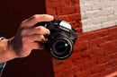 Panasonic Lumix GH7 (boîtier nu)