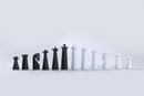 Particula GoChess Mini