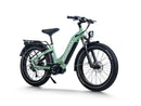 Himiway D5 Pro Vélo Electrique
