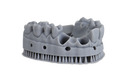 Liqcreate Dental Model Pro Grey