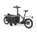Tarran T1 Pro Elektrofahrrad
