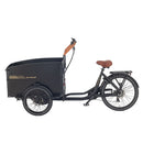 AITOUR Starter Vélo Electrique Cargo