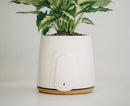 Vitesy Natede Basic Purificateur d'Air Naturel