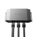 1000W PLUS ECOFLOW Lichtmaschinenladegerät