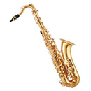 VEVOR Saxophone Ténor Si Bémol Kit Saxophone Débutants Laiton Résistant avec Étui de Transport, Bec, Sangles, Chiffon de Nettoyage, Gants, Sangle de cou, 23 Touches, pour Débutants, Étudiants, Doré - image 12