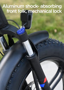 ENGWE Engine X Velo Electrique + 1 casque offert