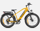ENGWE E26 Velo Electrique + 1 casque offert